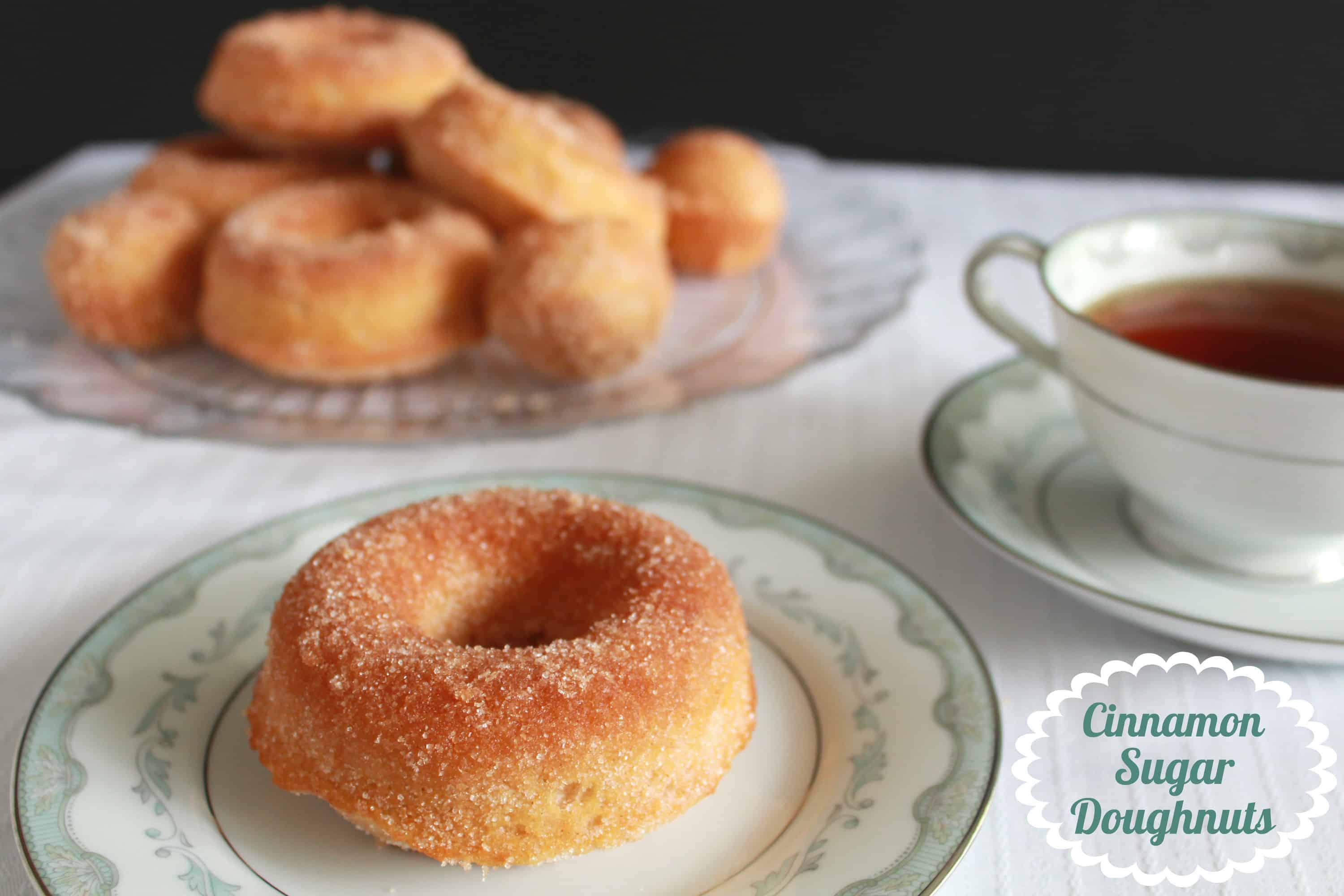 A donut covered in cinnamon sugar on a white and light blue plate. 