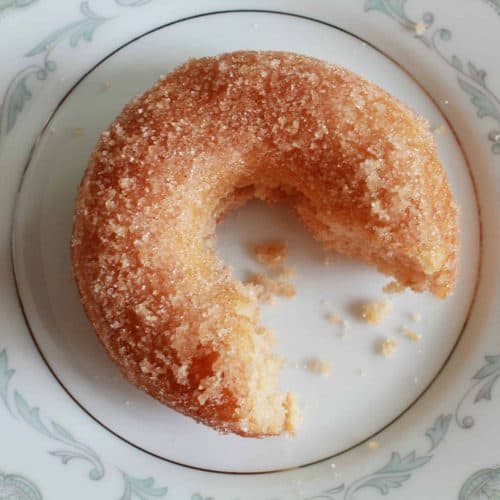 A donut covered in cinnamon sugar on a white and light blue plate.