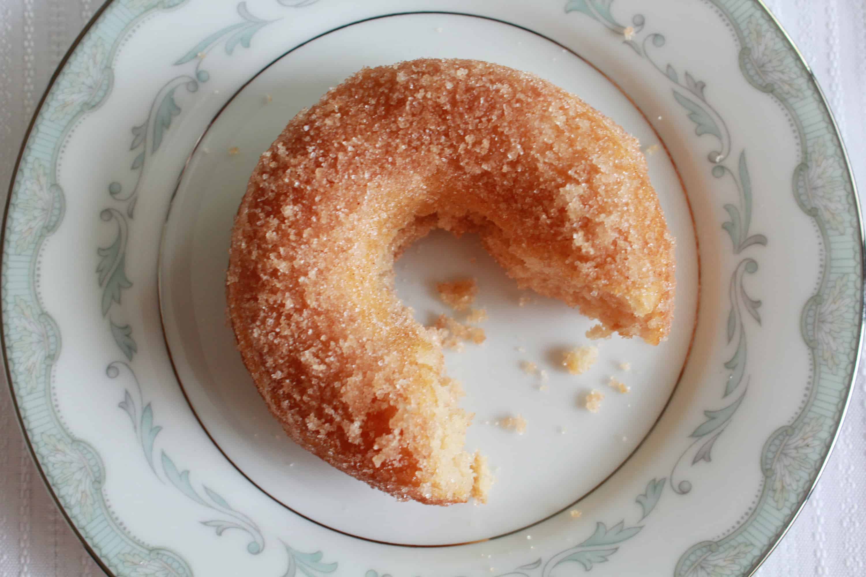 A donut covered in cinnamon sugar on a white and light blue plate. 