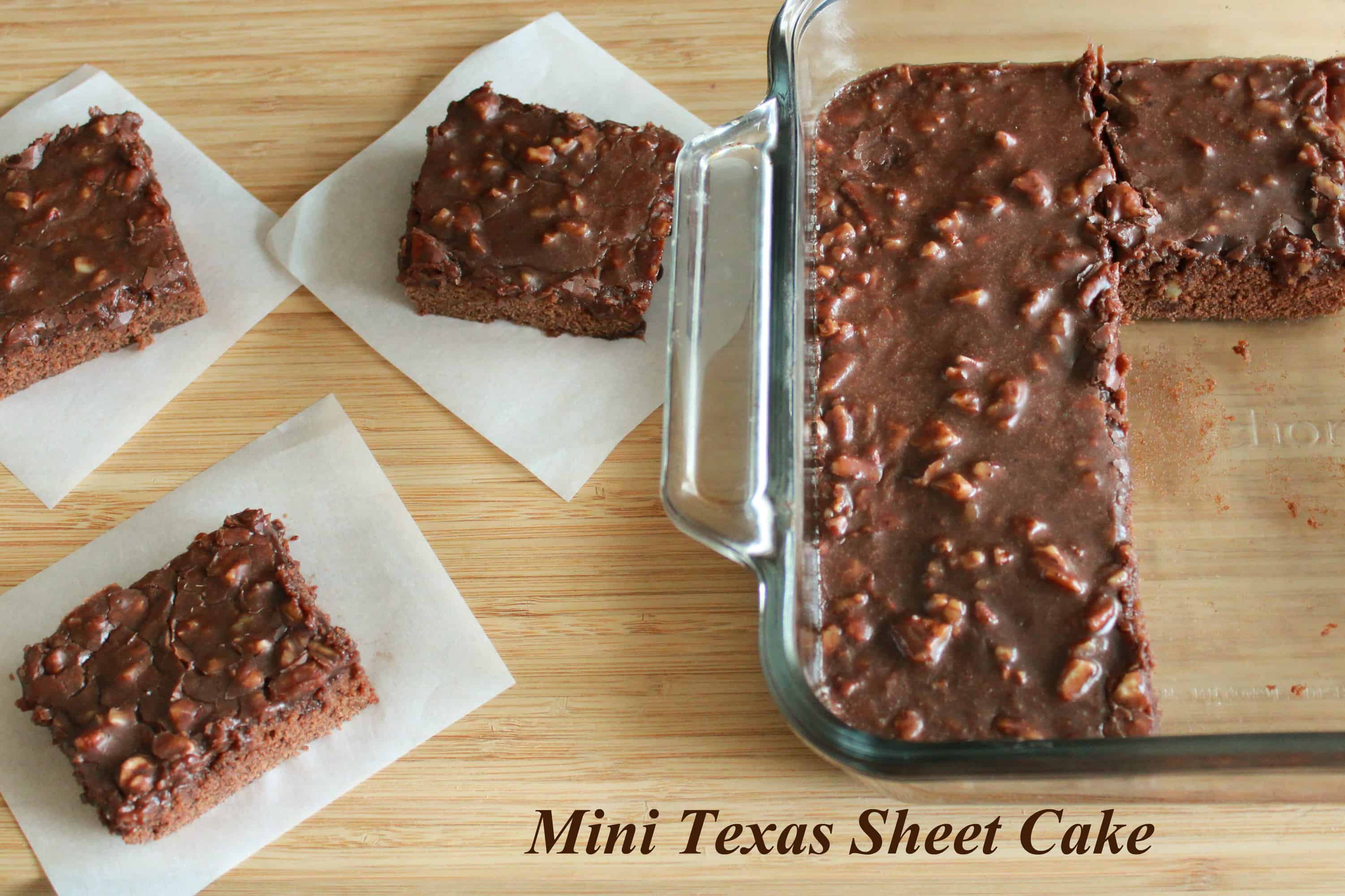 Mini Texas Sheet Cake Celebrating Sweets