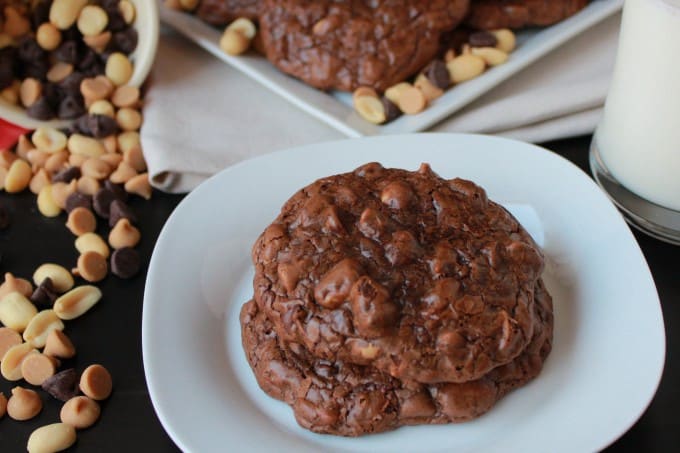 Chocolate Peanut Butter Cookies - Celebrating Sweets