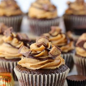 Chocolate cupcakes with peanut butter frosting topped with chopped peanut butter cups.