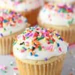 Vanilla cupcakes with vanilla ice cream and rainbow sprinkles.