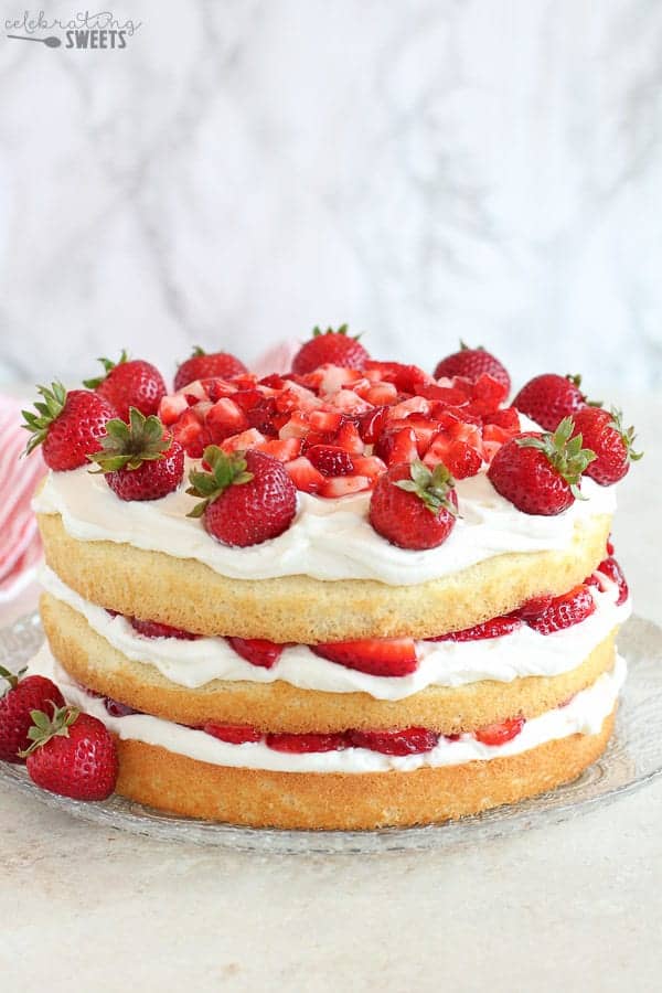 strawberry shortcake with fresh berries, whipped cream and jam