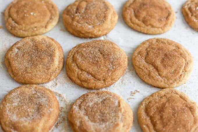 Snickerdoodle cookies on a parchment paper lined baking sheet.