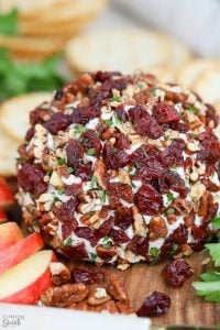 Dried Cherry Pecan Cheese Ball Recipe - Celebrating Sweets