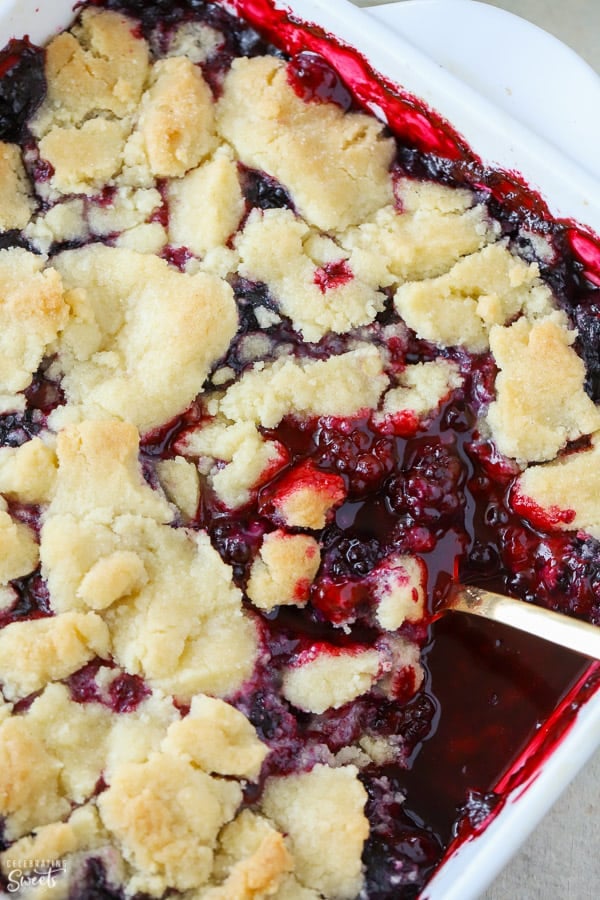 Blackberry cobbler in a white baking dish with a gold spoon.