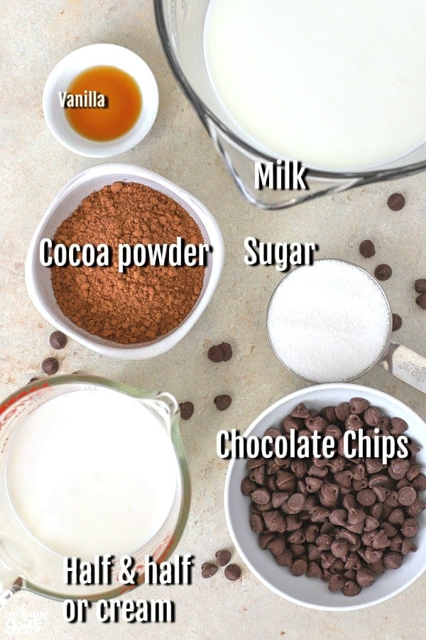 Ingredient for crock pot hot chocolate. Milk, cocoa, sugar, chocolate chips, vanilla.