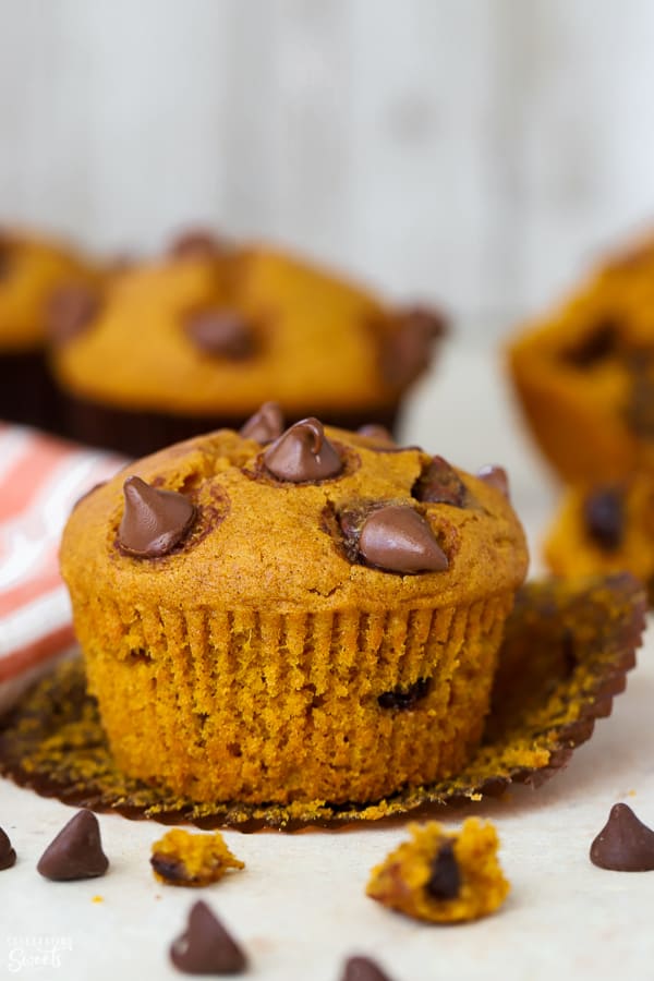 Pumpkin chocolate chip muffin on a white board