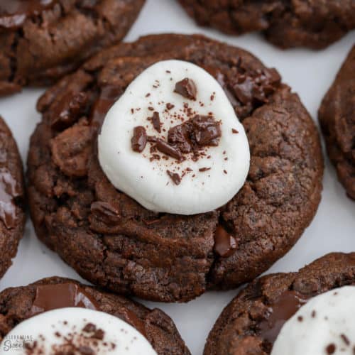 Chocolate cookies topped with a marshmallow