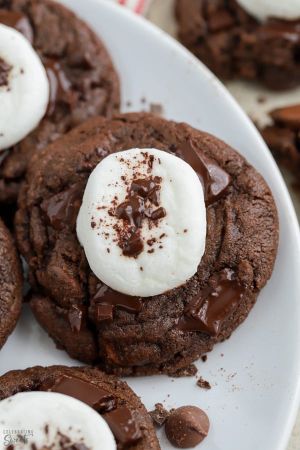 Close up of chocolate cookies topped with marshmallows