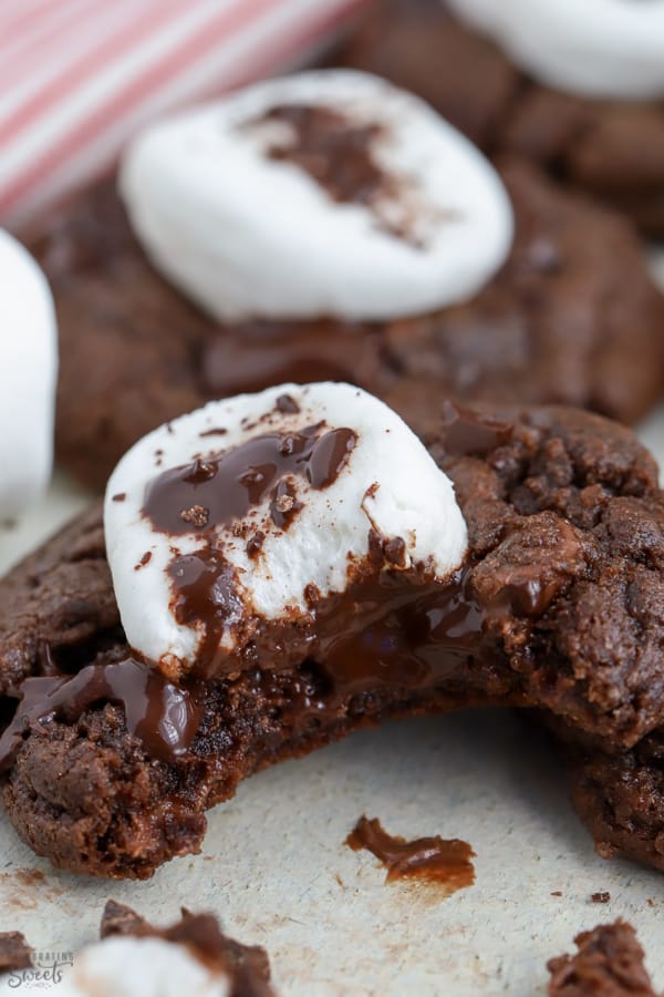 Close up of chocolate cookie topped with marshmallow