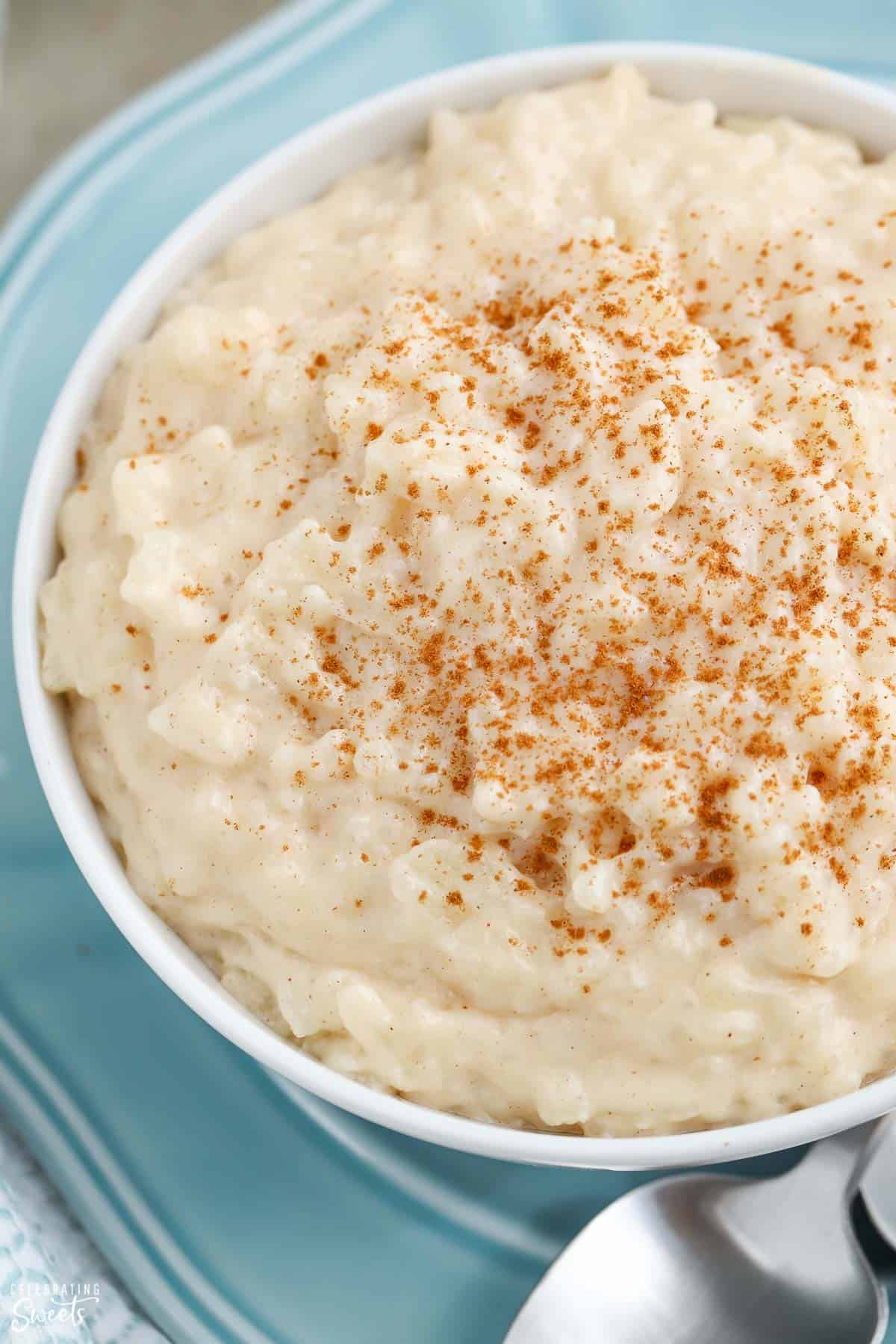 Rice pudding topped with cinnamon in a white bowl.