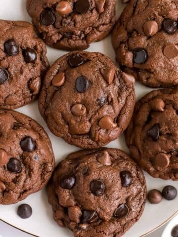 Chocolate cookies topped with chocolate chips on a white plate