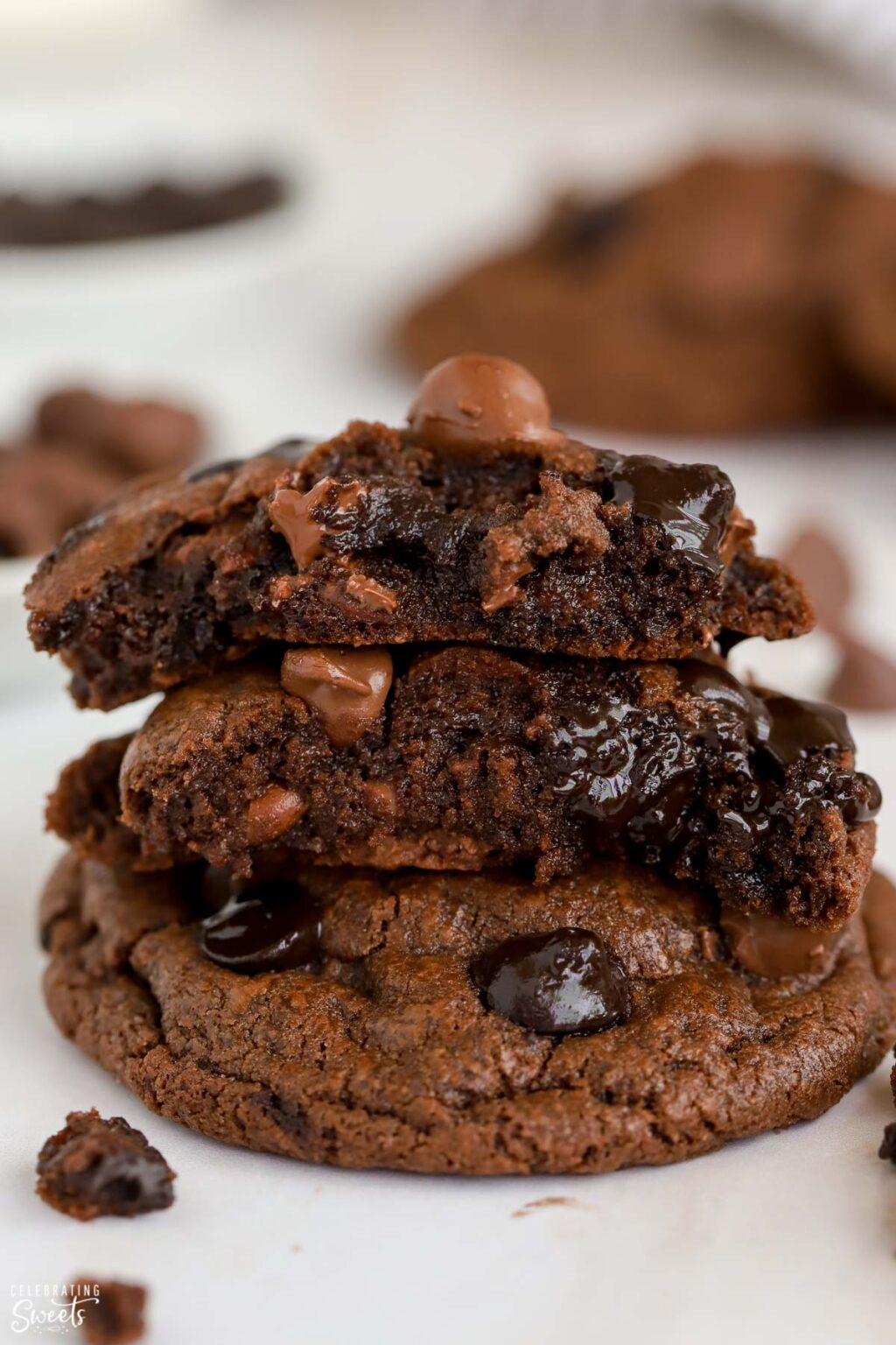 Double Chocolate Chip Cookies - Celebrating Sweets