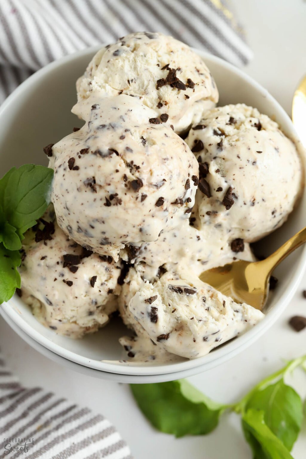 Mint Chocolate Chip Ice Cream (easy, no churn) - Celebrating Sweets