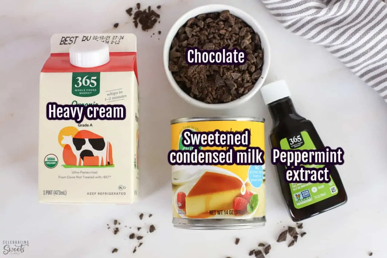 Mint chip ice cream ingredients: cream, condensed milk, mint extract, chocolate.