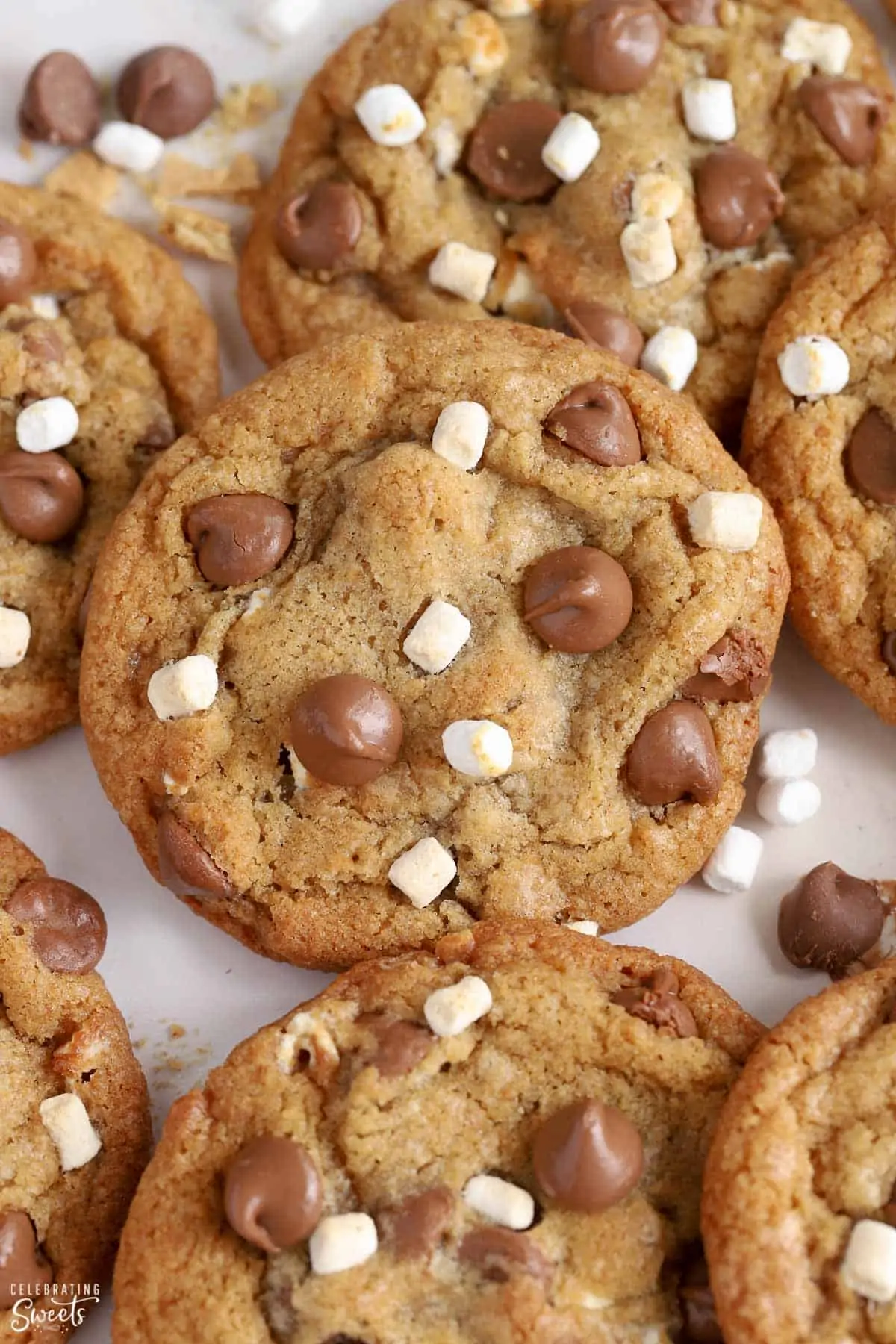 Closeup of s'mores cookies topped with mini marshmallows and chocolate chips.