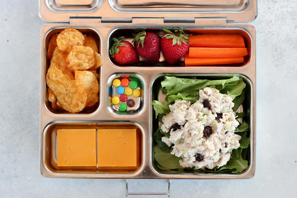 Lunchbox filled with chicken salad, cheese, chips, and fruit.