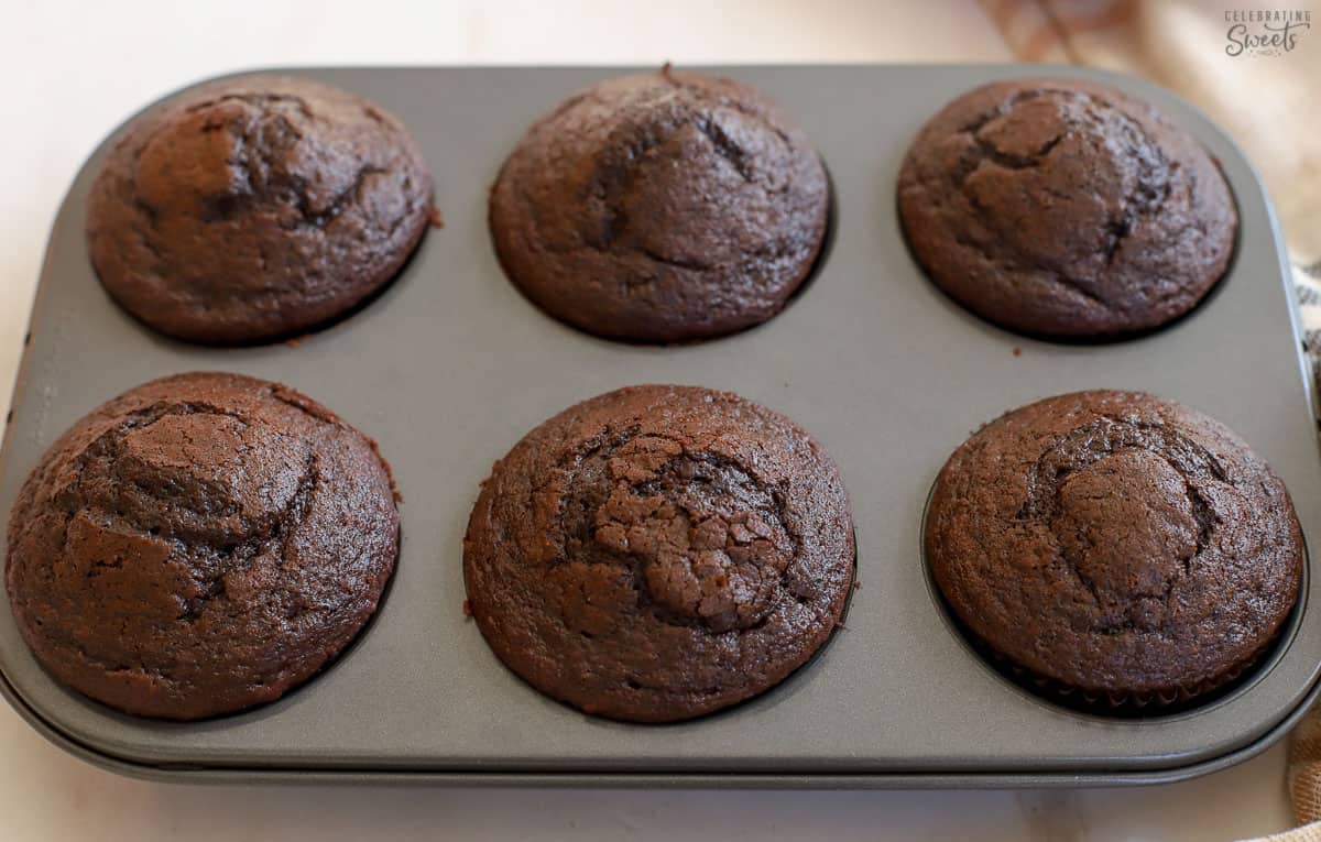 Six chocolate cupcakes in a muffin pan.