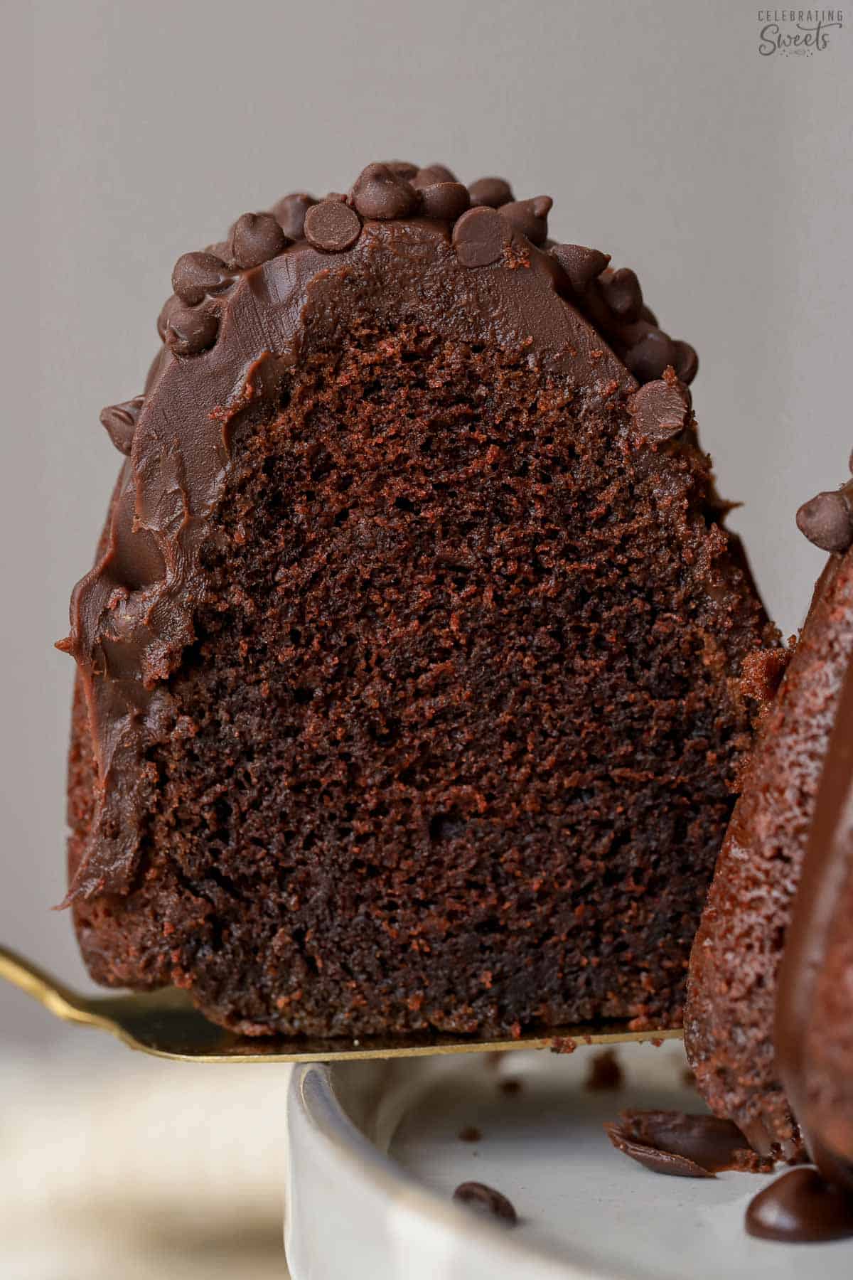 Closeup of a slice of chocolate bundt cake on a gold spatula.