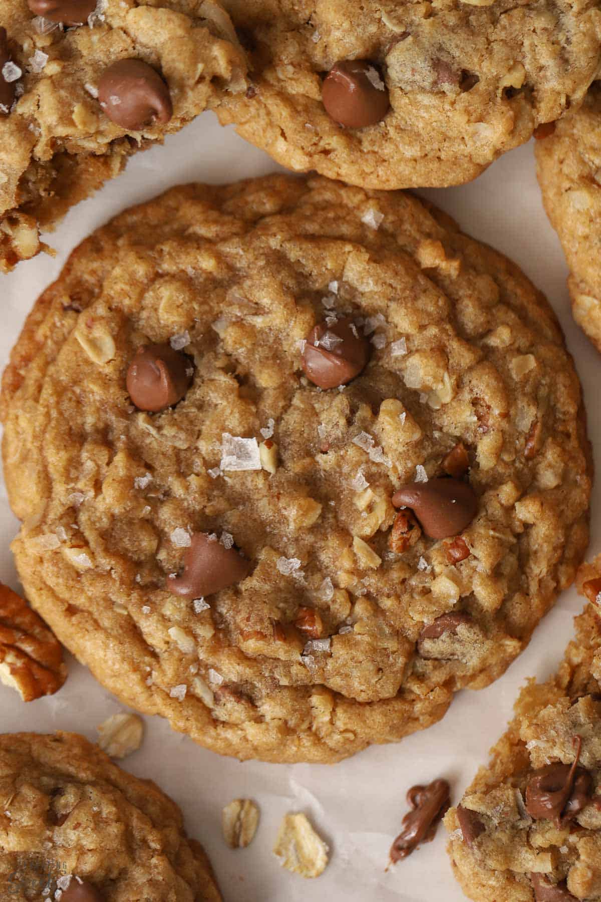 Closeup of a cowboy cookie topped with chocolate chips and flaky salt.