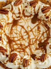 Pumpkin Cheesecake Bars - Celebrating Sweets