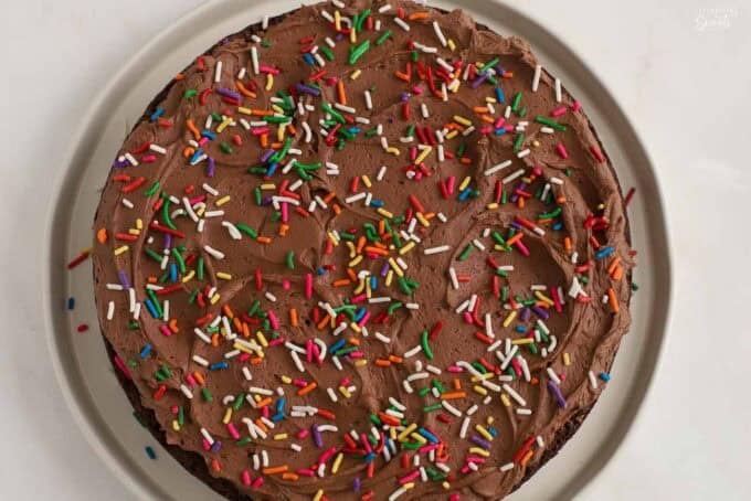 Round brownie cake topped with chocolate frosting and rainbow sprinkles.