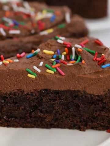 Slice of brownie cake topped with chocolate frosting and rainbow sprinkles.