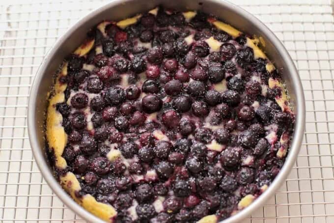 Lemon cake topped with fresh blueberries in a round cake pan sitting on a wire rack.
