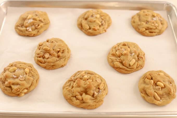 Peanut cookies on a parchment-lined baking sheet.